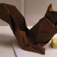 
<span>Squirrel</span>
