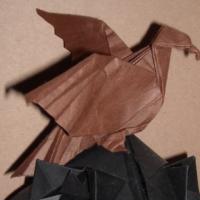 
<span>Eagle</span>
