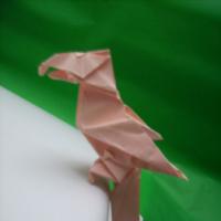 
<span>Parrot</span>
