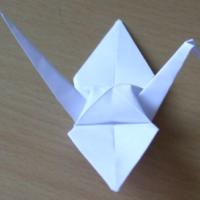 
<span>Crane</span>
