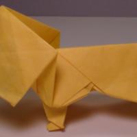 
<span>Lion</span>
