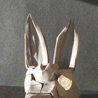 
<span>coyote head</span>
