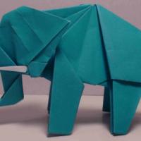 
<span>Elephant</span>
