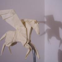 
<span>Pegasus</span>
