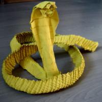 
<span>Cobra</span>
