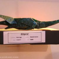 
<span>Alligator</span>
