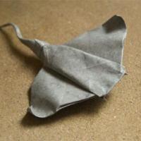 
<span>Manta-raya</span>
