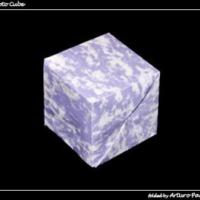 
<span>Fujimoto Cube</span>
