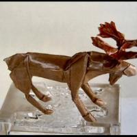 
<span>Bull Moose</span>
