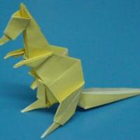 
<span>Kangaroo</span>
