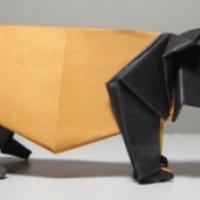 
<span>Malay Tapir</span>
