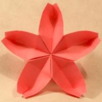 
<span>Unit Flower</span>
