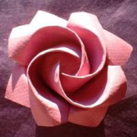 
<span>One-minute rose</span>

