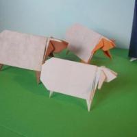 
<span>Sheep</span>
