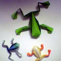 
<span>Frog</span>
