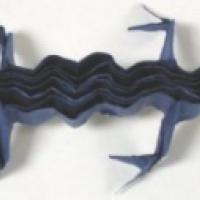 
<span>Lizard</span>
