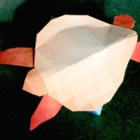 
<span>Sea Turtle</span>
