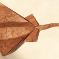 
<span>Manta Ray</span>
