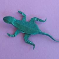 
<span>Lizard</span>
