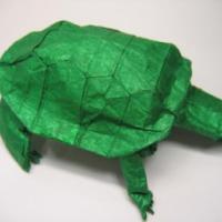 
<span>Western Pond Turtle</span>
