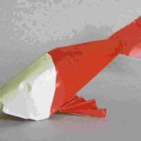 
<span>Koi</span>
