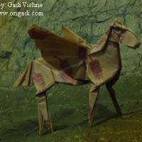 
<span>Pegasus</span>
