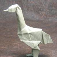 
<span>Emu</span>
