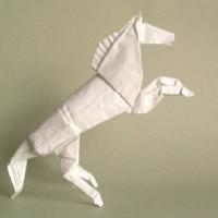 
<span>Alamo Stallion</span>
