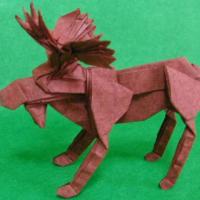 
<span>Bull Moose</span>
