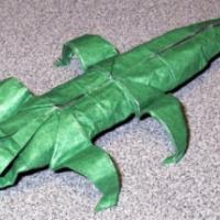 
<span>Alligator</span>
