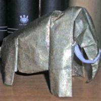
<span>Woolly mammoth</span>
