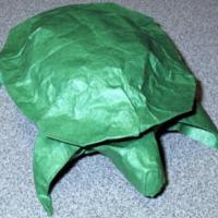 
<span>Desert Tortoise</span>
