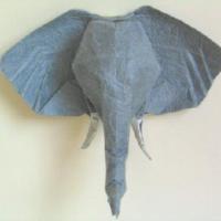 
<span>Elephant's Head</span>
