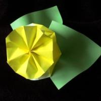 
<span>Flower and leaf</span>
