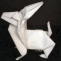 
<span>Rabbit</span>
