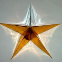 
<span>Modular Star</span>

