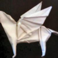 
<span>Pegasus</span>
