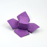 
<span>Cube Fruit</span>
