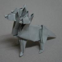 
<span>Cerberus</span>
