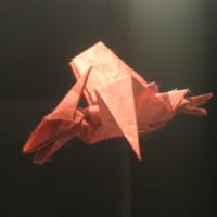
<span>Pteranodon</span>
