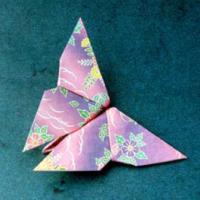 
<span>Butterfly</span>
