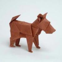 
<span>Dog</span>
