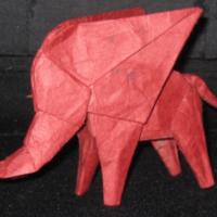 
<span>The little elephant</span>
