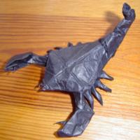 
<span>Scorpion</span>
