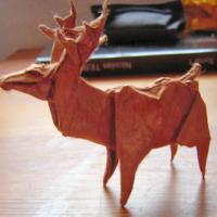 
<span>Deer</span>

