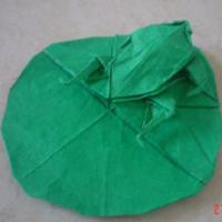 
<span>Frog on a Lily Pad</span>
