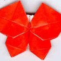 
<span>Butterfly</span>
