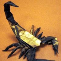 
<span>Scorpion</span>
