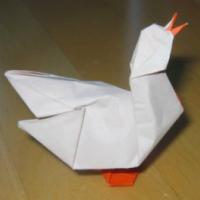 
<span>Duck</span>
