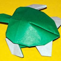 
<span>Sea Turtle</span>
